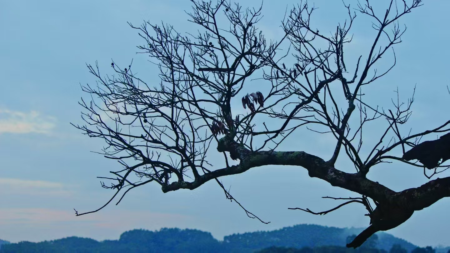 明朝的一件大案，是这样结束的