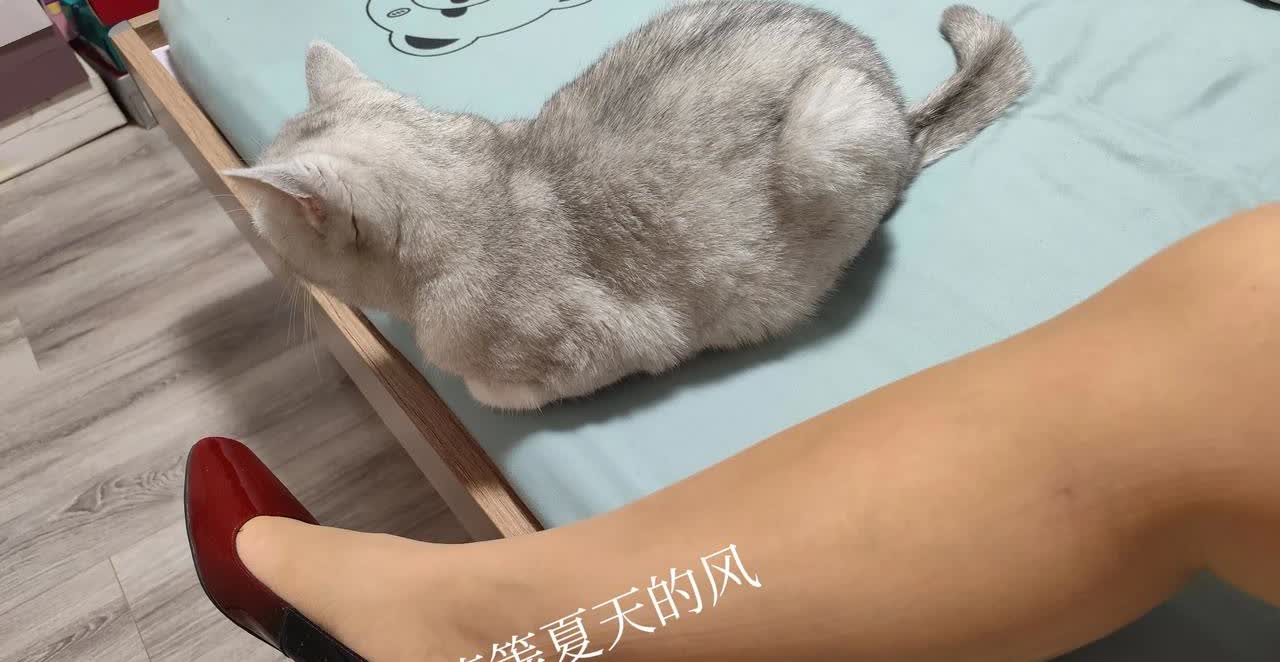 嘿，凯美瑞智驾版，合资B级车的新“卷王”要来了！
 
最近车圈那可是热闹非凡