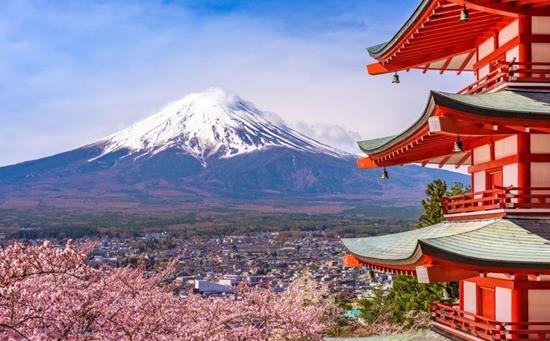最近，日本公布了两则好消息，都与中国有关。

第一个，日本车在华卖不动了。数据显