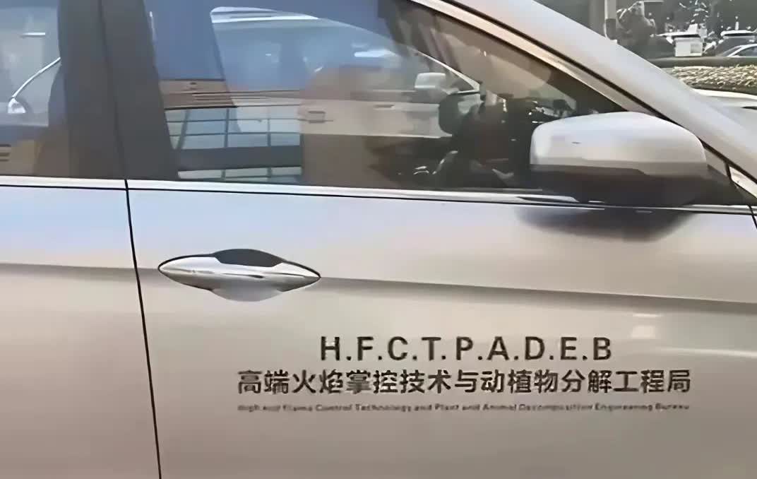 这个车贴到底是什么意思 感觉好高大上呀