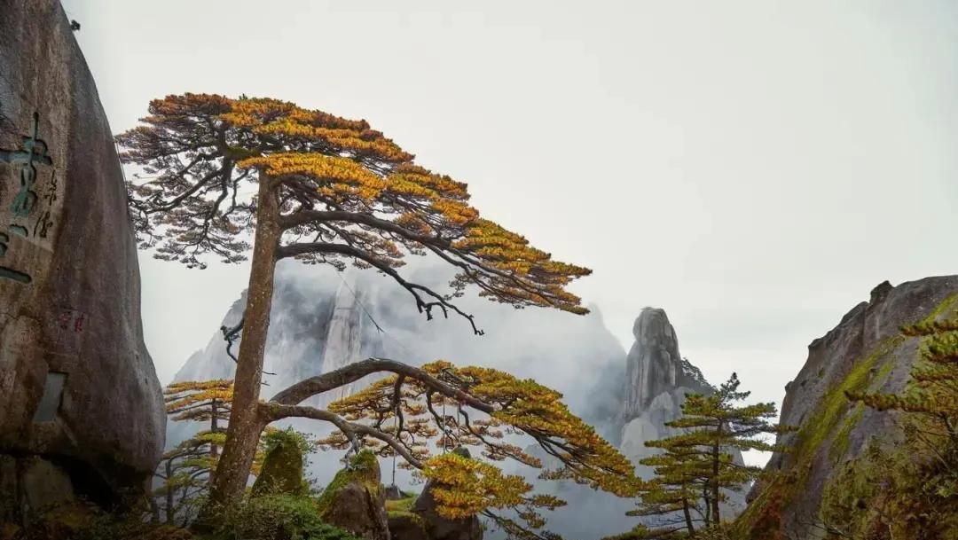 当你走遍世界各地，才发现真的没啥意思！
     前几天，好朋友约我去家里吃饭。