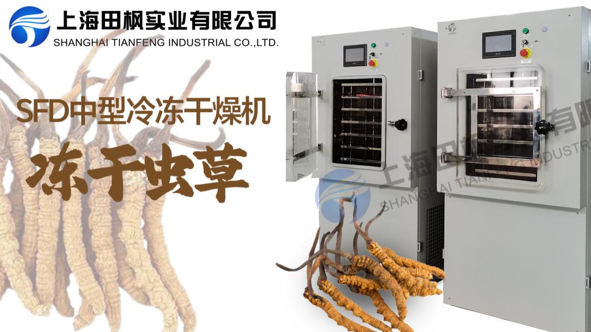 冻干机制作冻干虫草的五大优势
