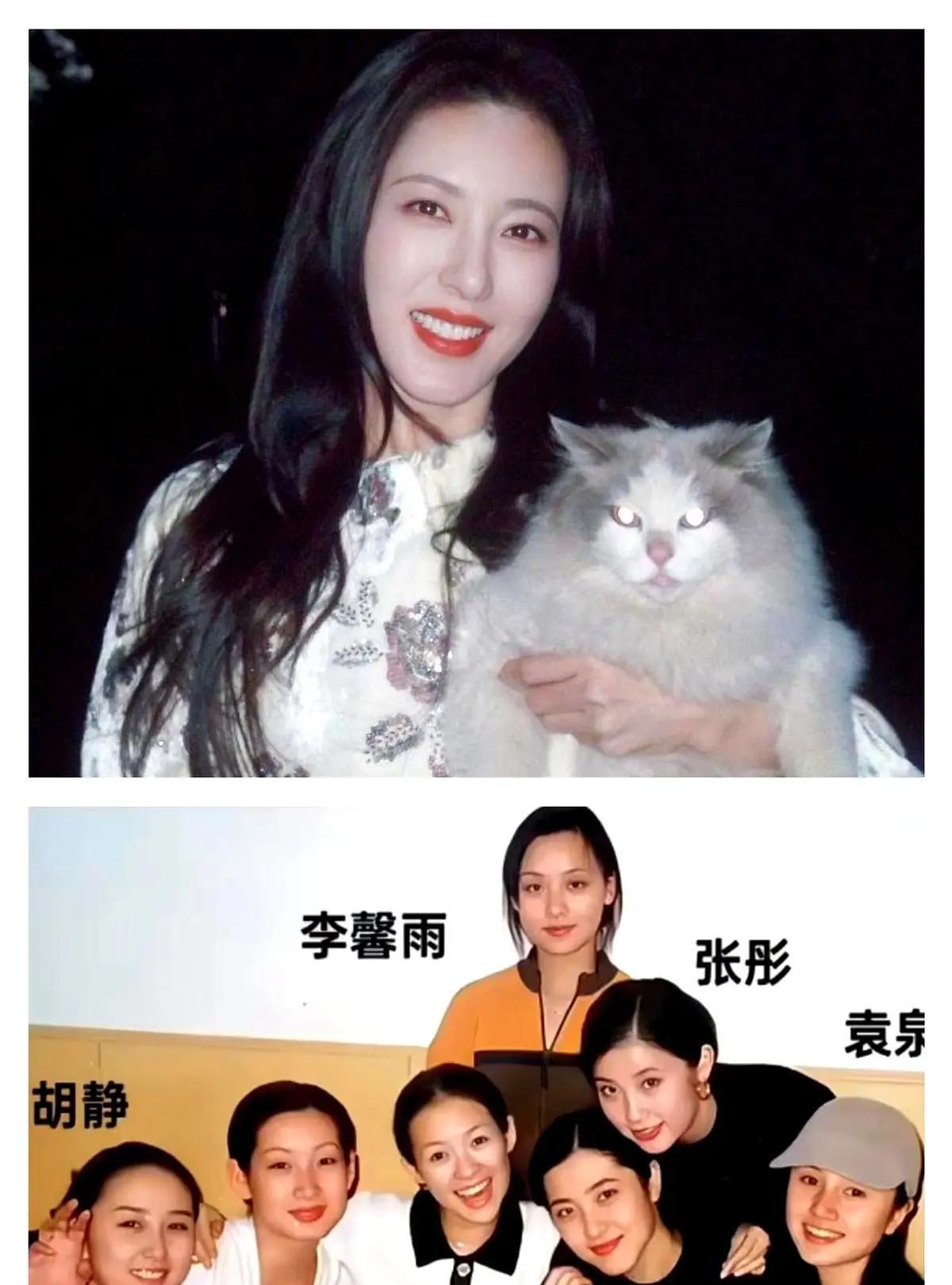 破案了，中戏200年一遇校花，不火真的是有原因。
秦海璐有回聊起曾黎就笑岔气：“