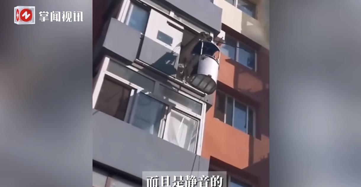 “离了个大谱！”  



5月30日，辽宁葫芦岛一位退休老先生，因为年事已高，