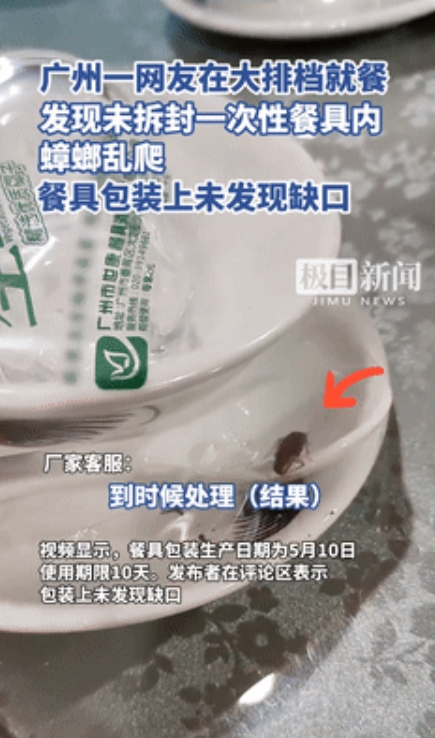 “汪教授被打脸了！”广东一网友在饭店就餐时，发现餐具内有一只活蟑螂！最恐怖的是餐