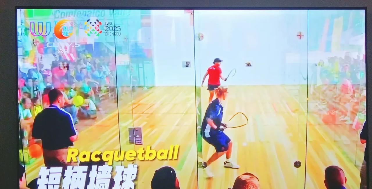 我妈说，成都世运会的比赛她看不懂，怎么没有乒乓和体操这些项目。
我大体给我妈科普