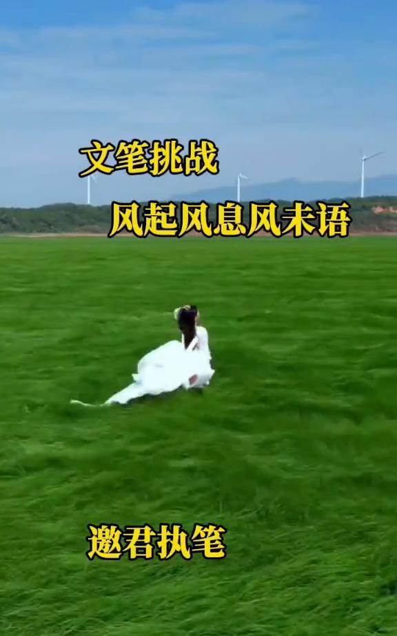 文笔挑战：风起风息风未语。
邀君执笔。