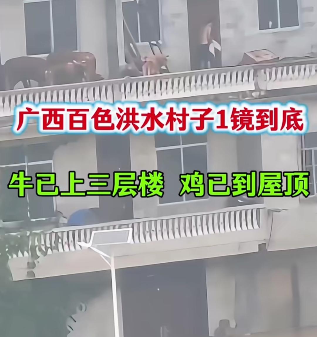 百色洪灾这么严重，有人是看不见也不知道！