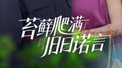 短剧《苔藓爬满旧日诺言》83 集的时光絮语，在斑驳岁月里打捞真情