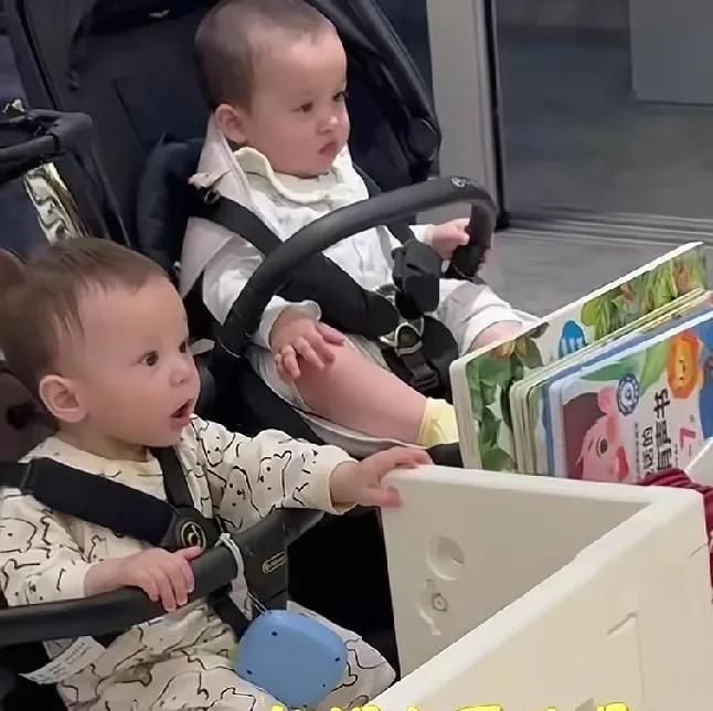 今天又是哄两个弟弟的hatti
两个弟弟成功被二姐吸引
姐姐在干嘛呢
两小家伙齐