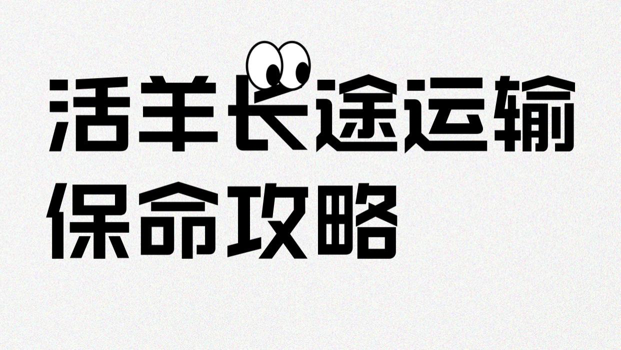 养羊人必看！活羊长途运输保命攻略