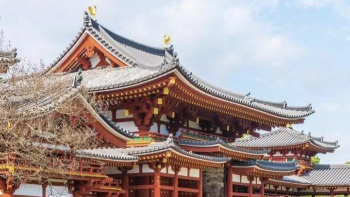 说实在的，男人们放弃抵抗吧！