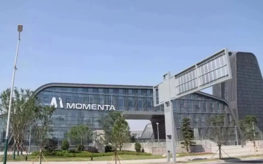 momenta公司，不得了了不得。

估计很多人知道华为ADS厉害，但知道Mom