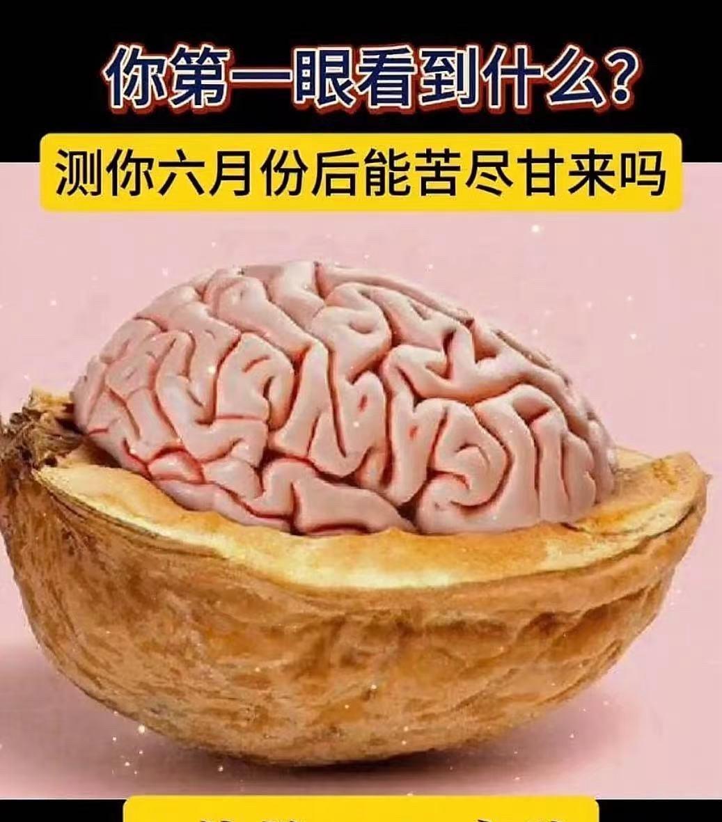 你第一眼看到什么？测你7月份能苦尽甘来吗？
A.核桃；B.大脑。
第一眼看到啥？