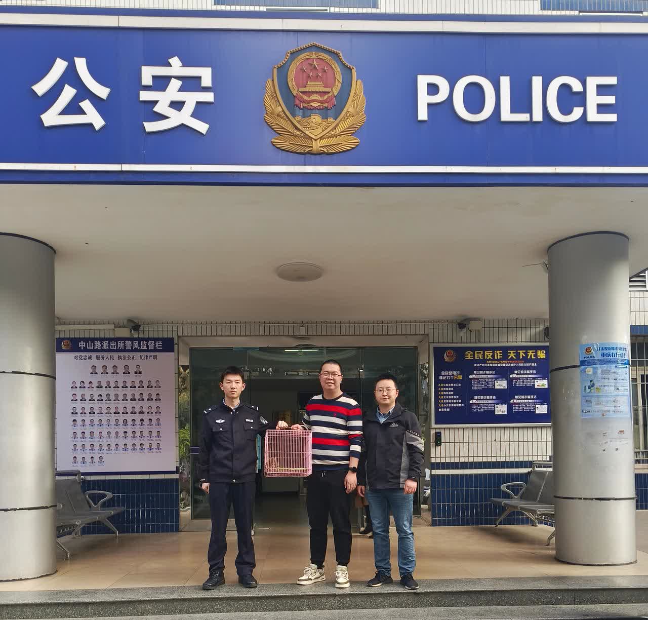 党建引领显担当，暖心救助迷途鹰
——教工二支部党员积极参与生态文明建设创建红岩