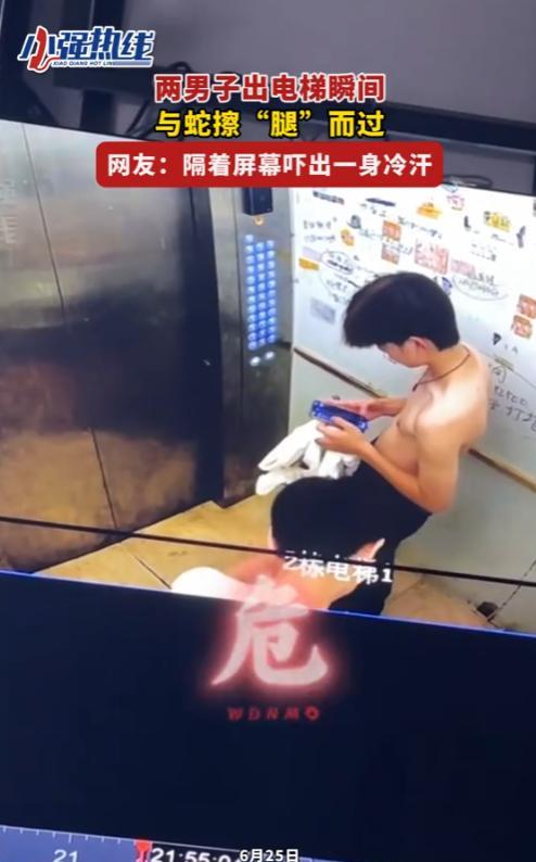“太吓人了！”6月25日，江西南昌，2名男子在出电梯的瞬间，一条小蛇快速爬进去，