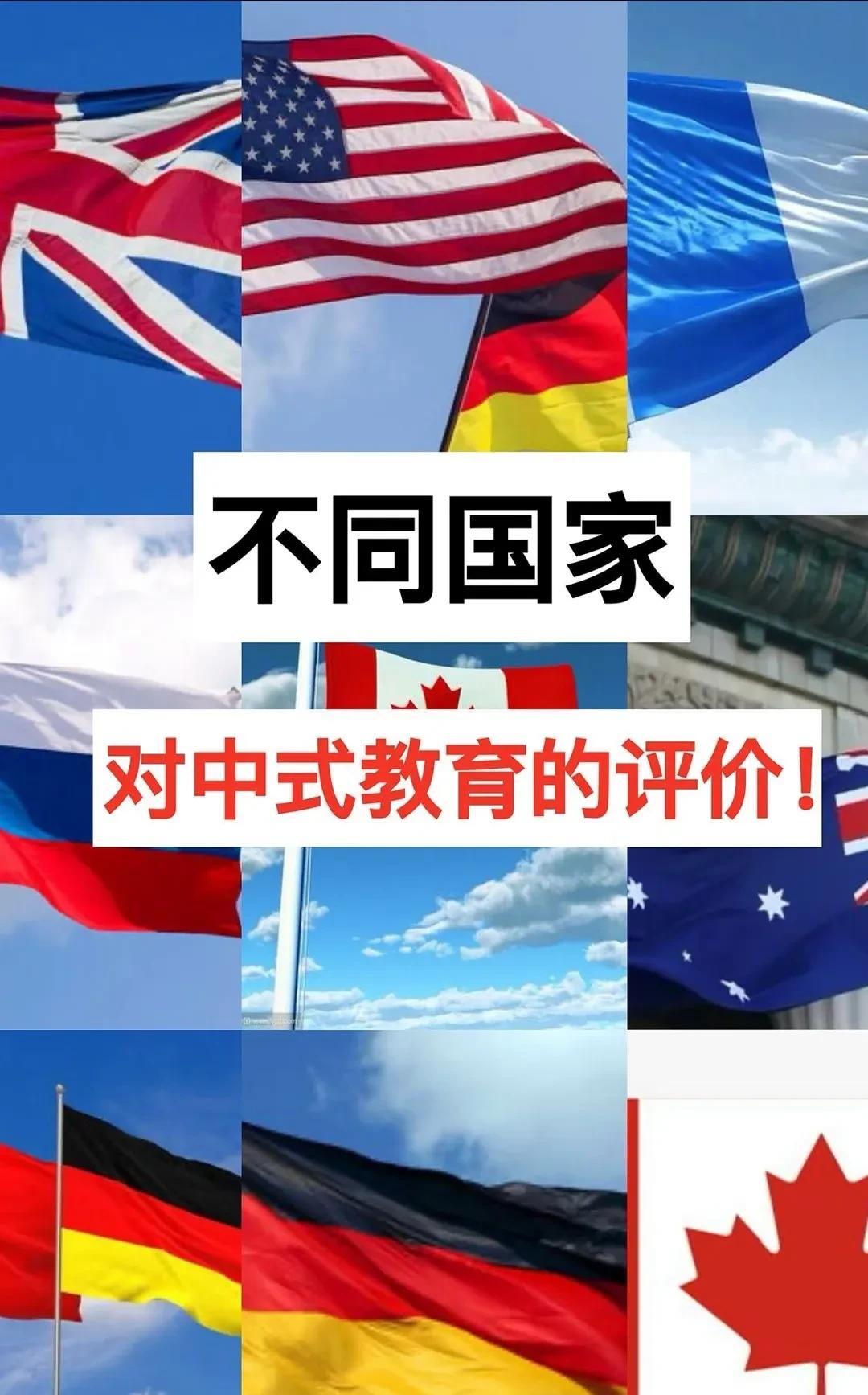不同国家对中式教育的评价，你怎么看呢？