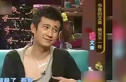 文章当年从事业巅峰跌落，并非单纯因为出轨姚笛这一事件。实际上，他当初凭借马伊琍的