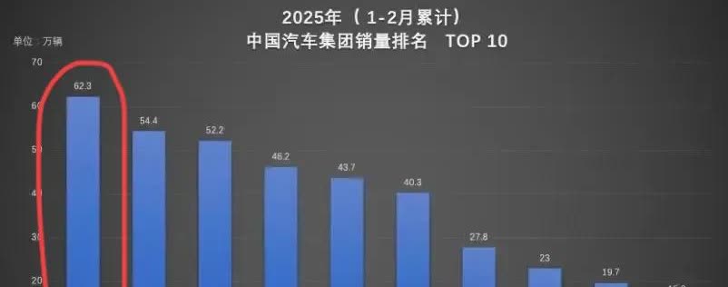 比亚迪：“啥，加定语，完全不可能的，全维度销冠！就想问问还有谁？”
友商看了不