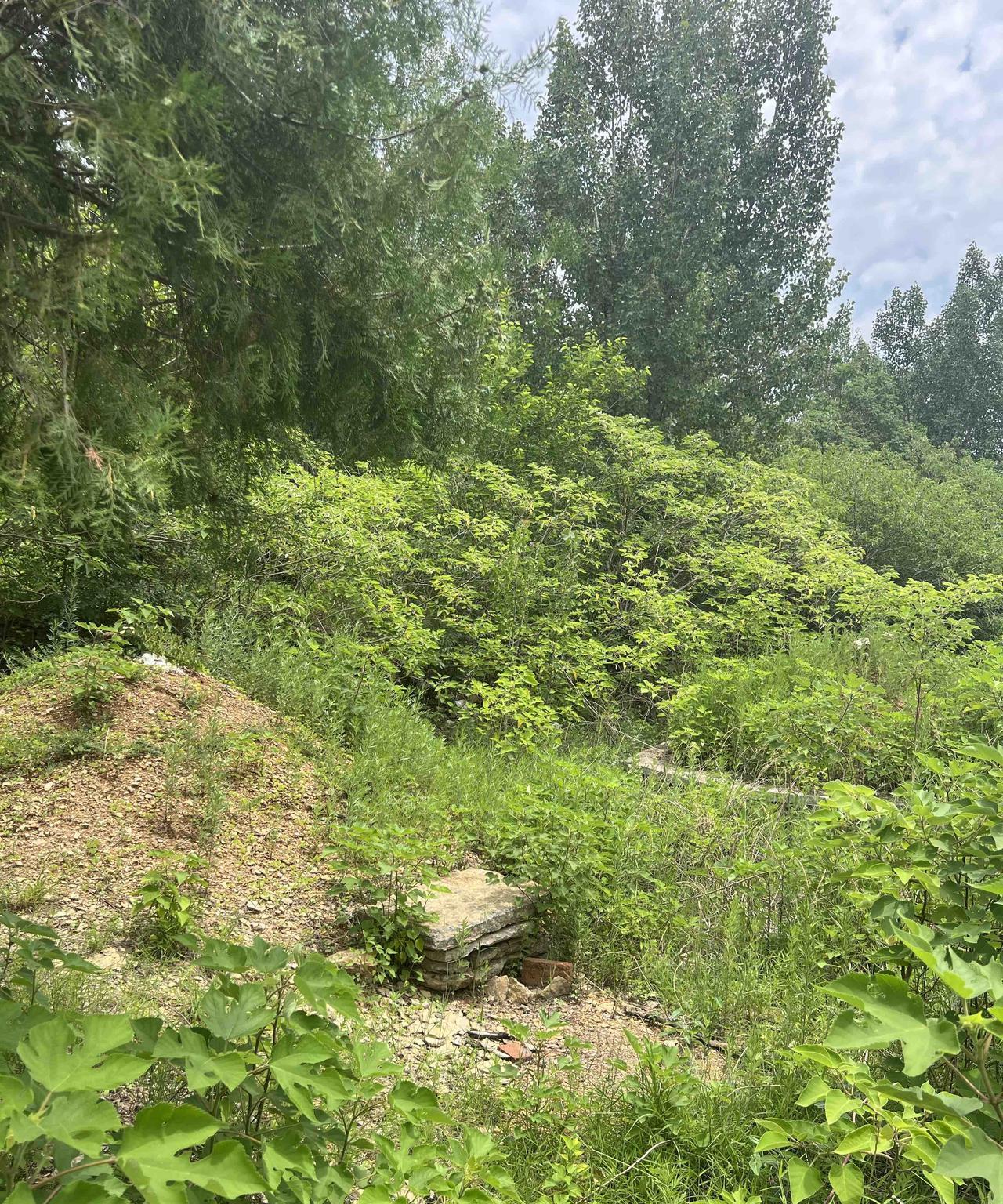 临沂风水师于锡福：风水催动的心法之一是「独特」，阴阳平衡交媾出能量。一个东西足够