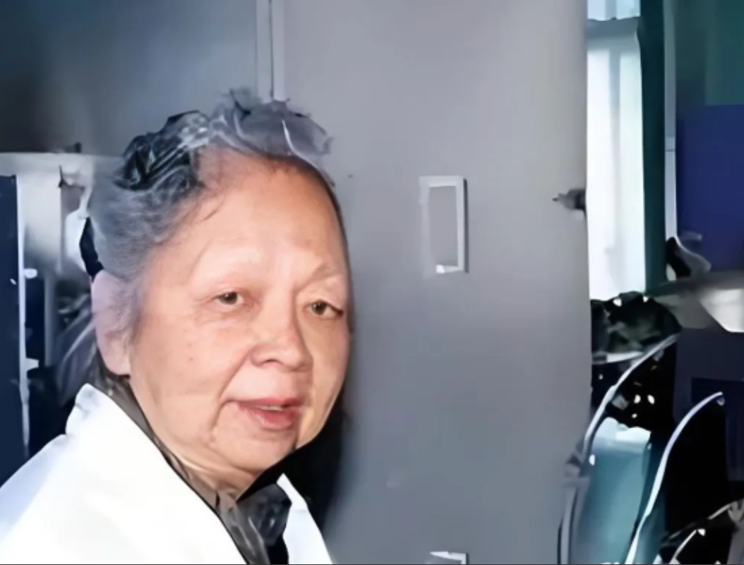 她才是中国真正的巨星，终身未婚，用一粒沙子造出中国芯！

 
在很多人的印象里，