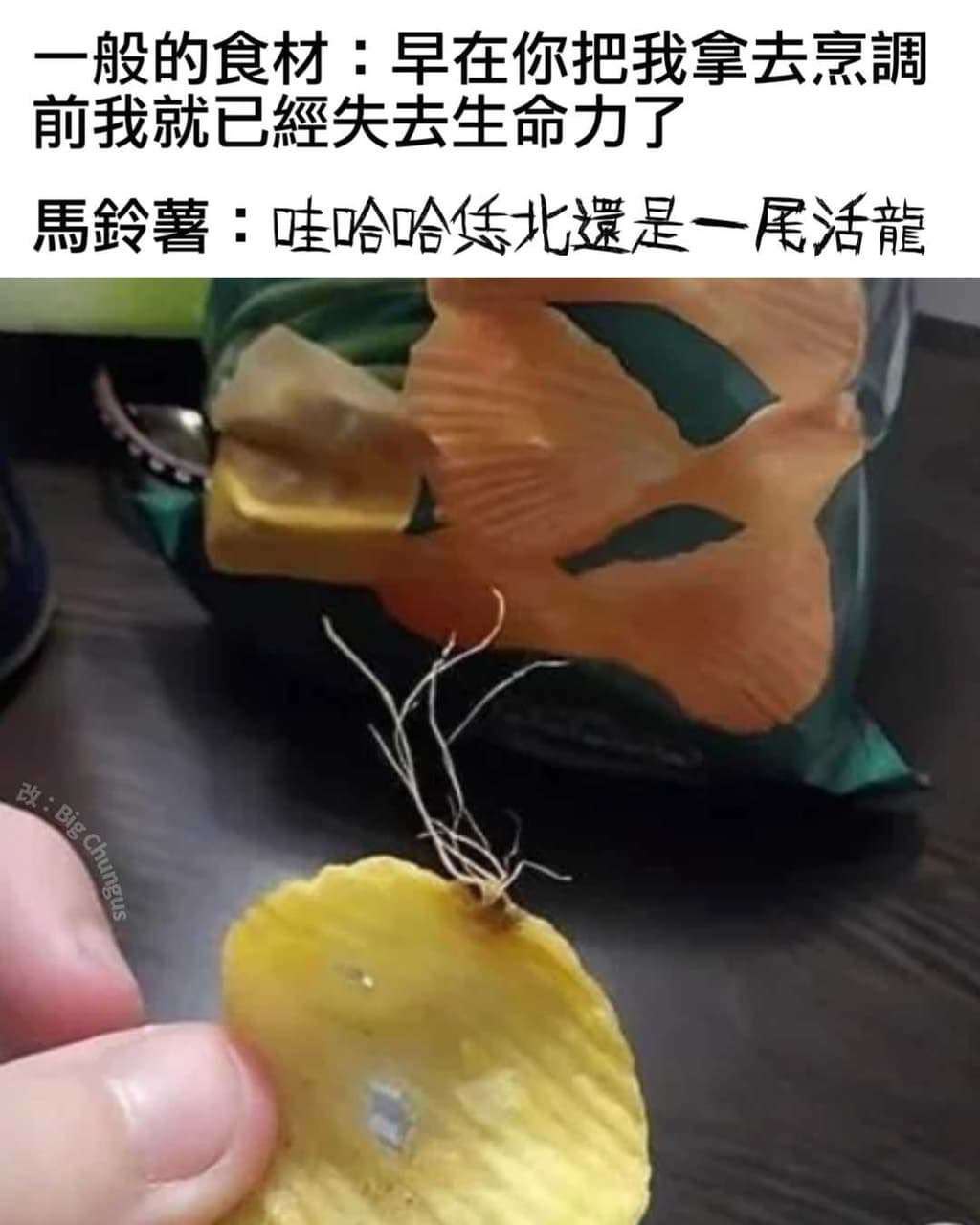 生命力是真顽强啊
