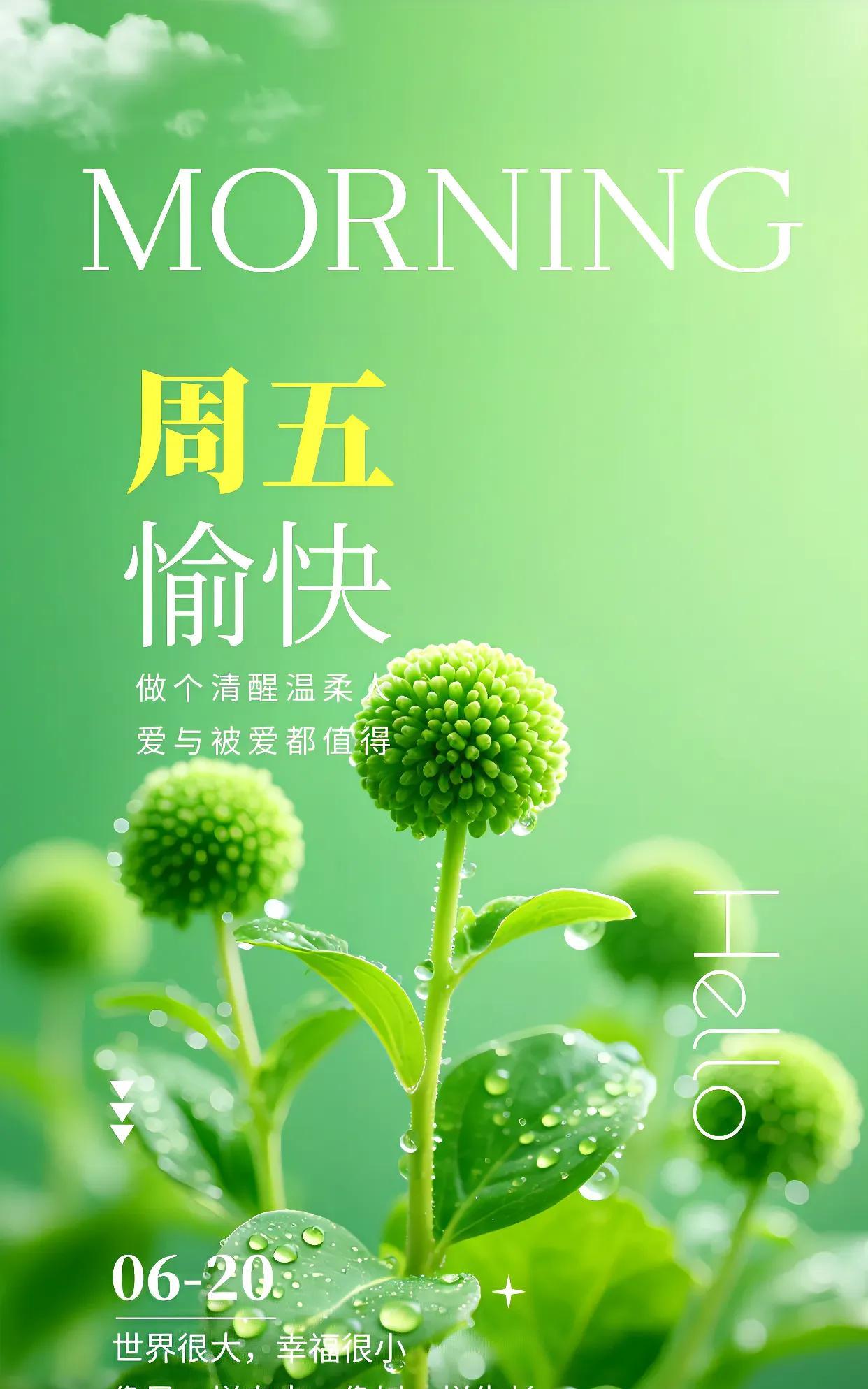 句句祝福韵味长，深深情意韵里藏：捎去鸿运恒久长，好运常伴绕身旁！早安吉祥！