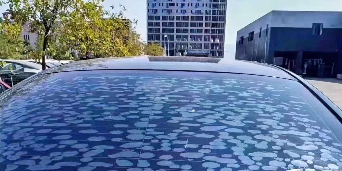 大无语！开了6年的车，后挡膜全是气泡，今天去换膜。

换膜时，师傅拿铲刀用力
