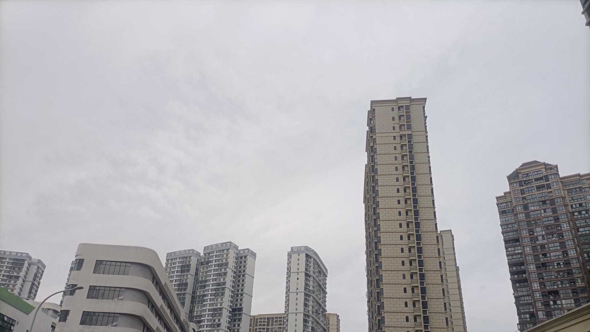 农村集体经济组织成员动态更新调整政策规定