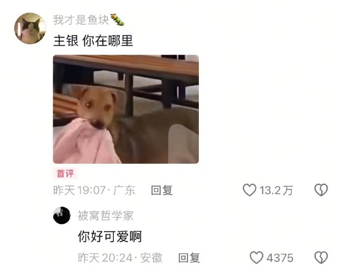 一天天的净耽误事