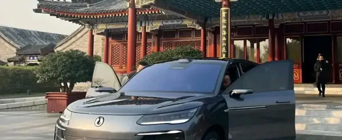 专家预测，未来国产五大品牌车企，存活率如下：
1、小米——可能80%
2、吉