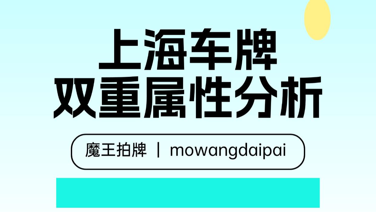 上海车牌双重属性分析