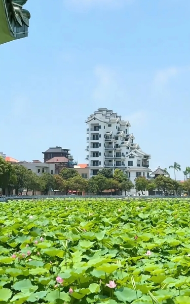 我最爱的男人打电话给我说这周不回来了，说下周放假+上高考假可以有好几天假再一起回