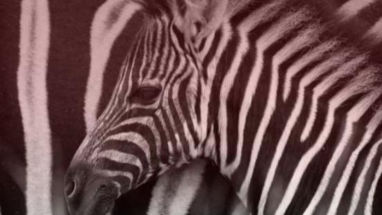 你身边那5个人，就是你未来的样子