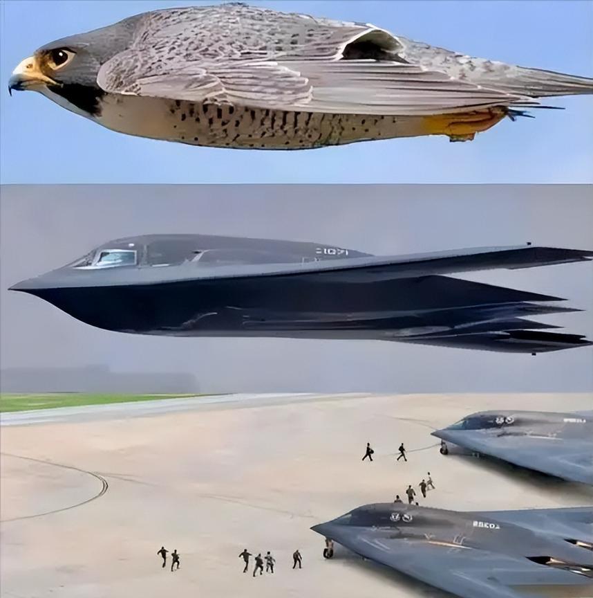 美国B-2隐身轰炸机有个致命弱点！由于B-2轰炸机完全放弃了速度和机动性，典型的