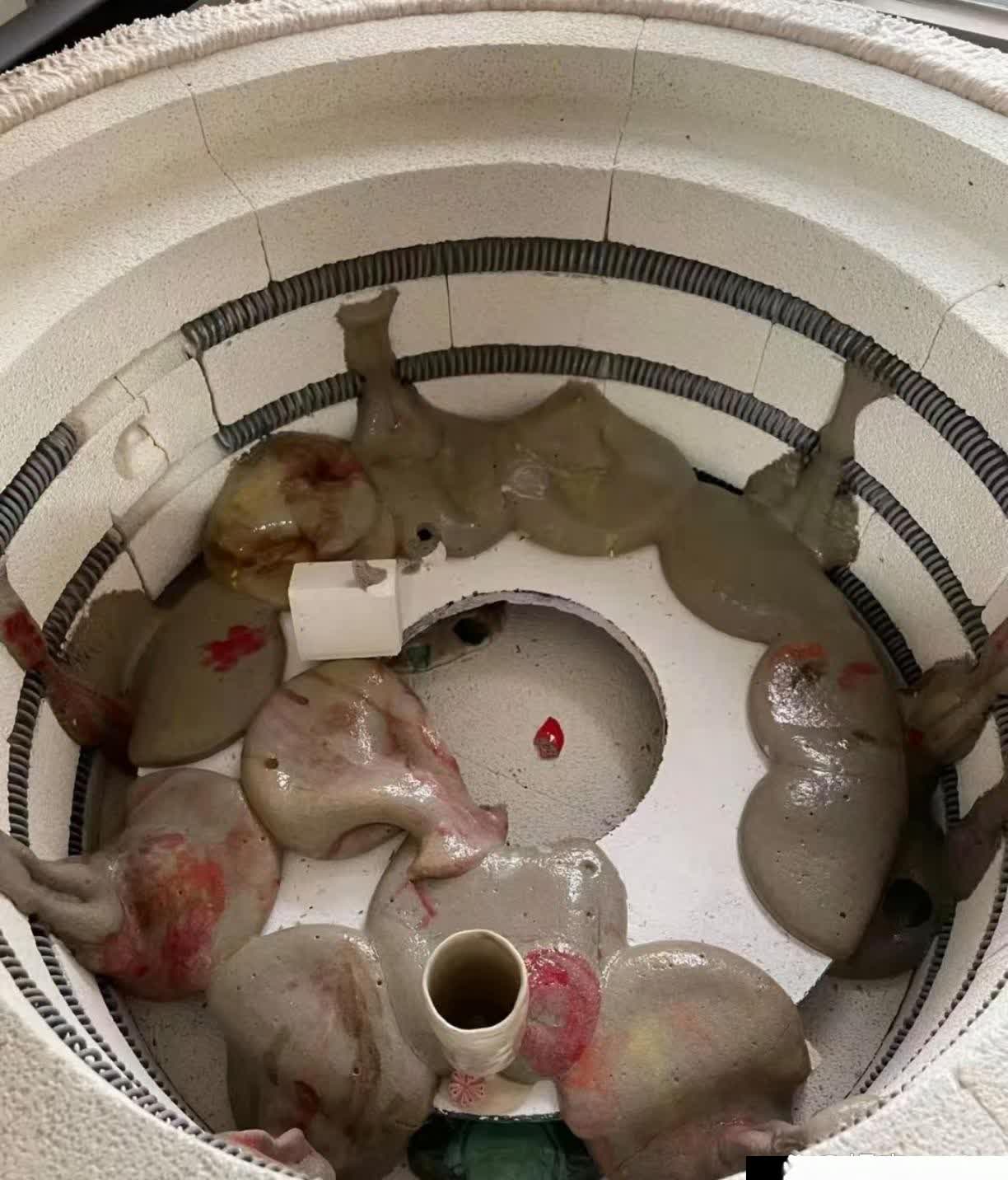 我的天呐，简直要崩溃了！就出门买个菜的功夫，顶多半小时，回家直接看傻了。前几天网