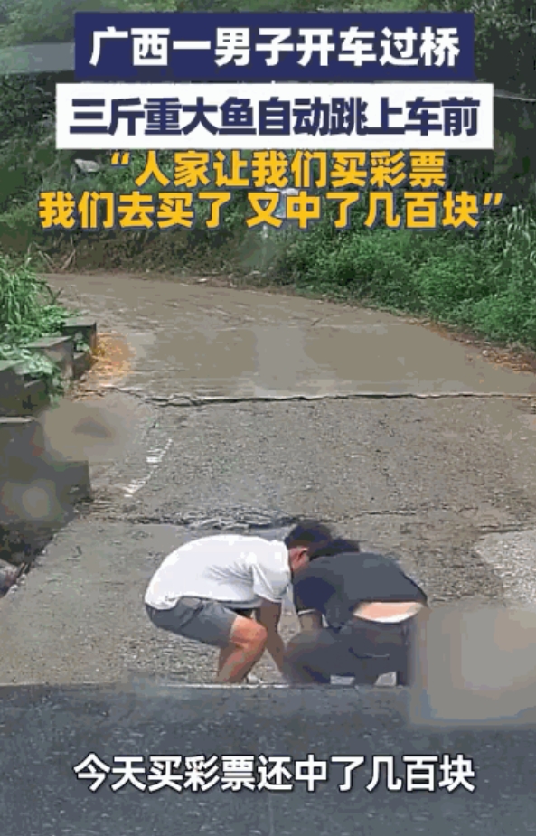 “财运挡都挡不住！”广西桂林，一男子开车过桥，突然，一条3斤重的大鱼从河里跳上桥