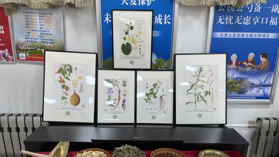 石景山区中医医院开展迎新春中医药文化活动