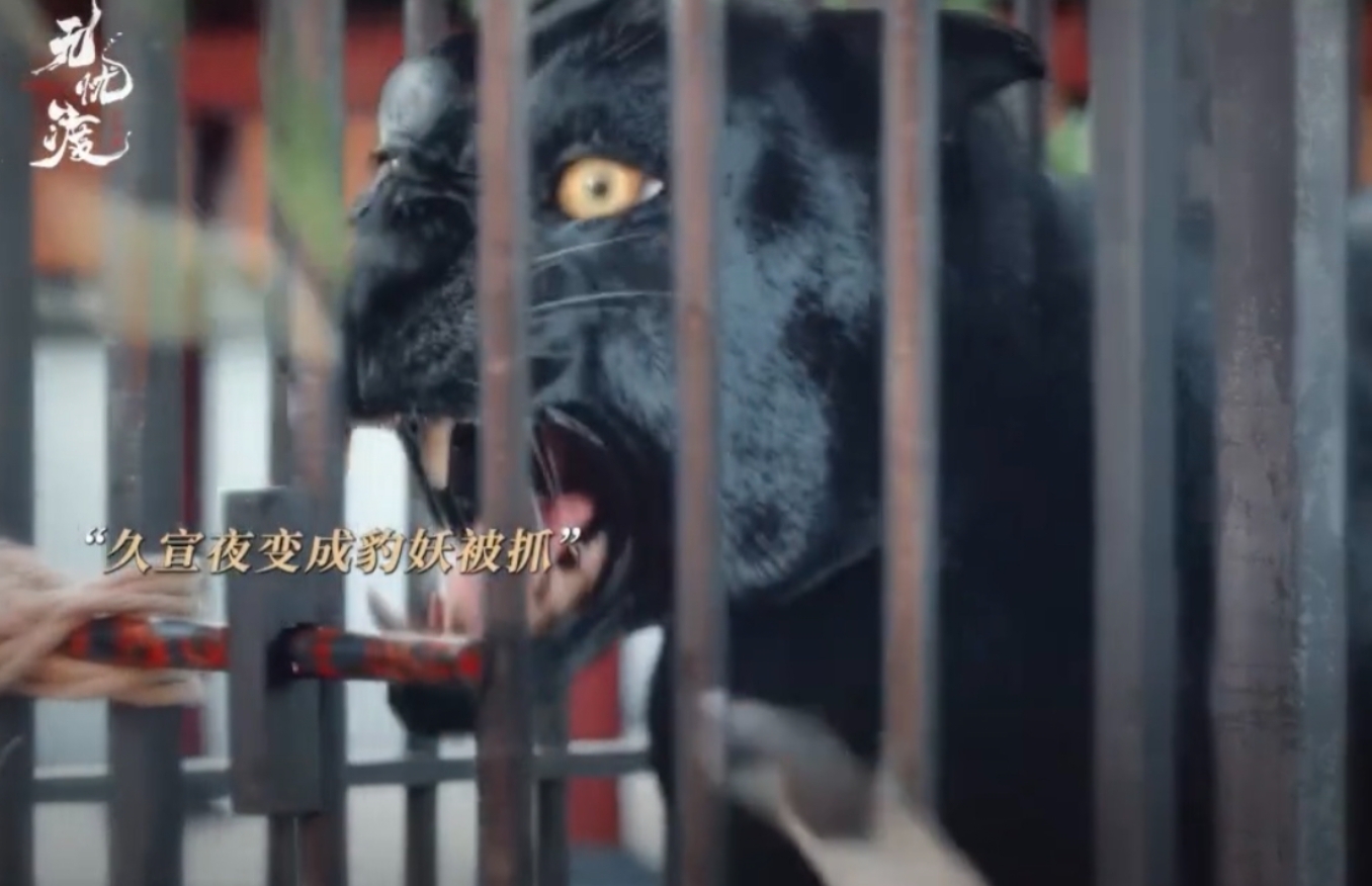 #无忧渡#这剧情太逗又太虐！原来他俩是无忧境石豹子，缺一只就失衡。弟弟跑路，哥哥