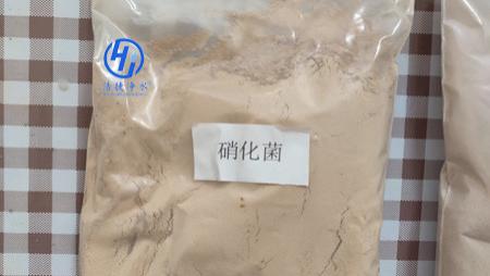 硝化细菌作用和使用