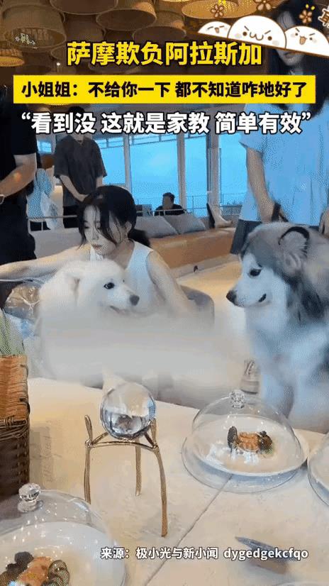 本来想威风凛凛，没想到狗脸扫地～