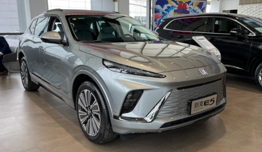 20万左右预算，该如何选择电车？

考虑买一辆电车，预算二十万左右，和老婆看了很