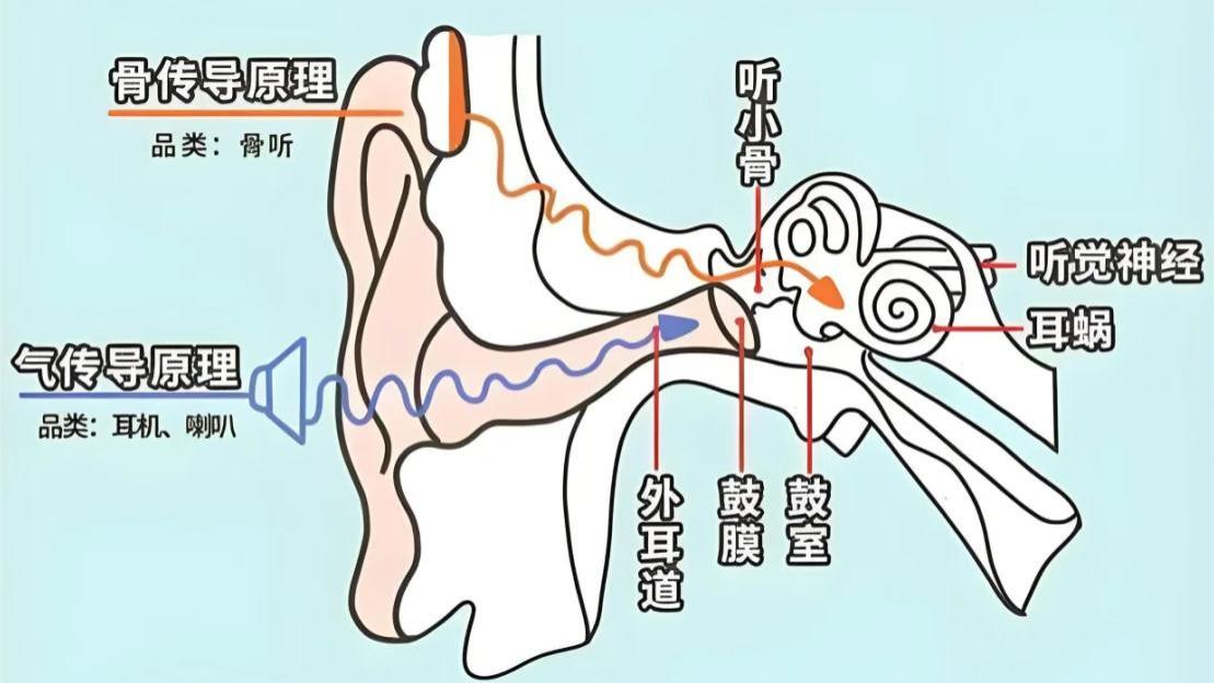 什么是耳夹式耳机？耳夹式耳机科普推荐！