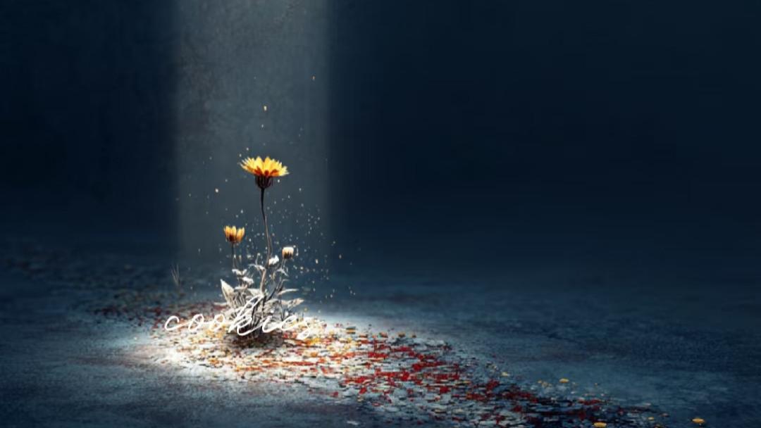 人生建议: 一定要坚持记录自己