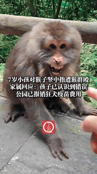 “这钱赔的冤不冤？”7月2日贵州，一个7岁的小男孩在景区游玩时，学着网上，朝猴子