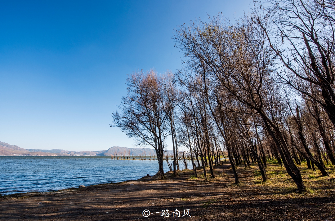 实拍大理“海上森林”，景色如诗如画，仿佛进入童话世界