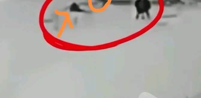 四姑娘山二峰滑坠死亡的男子仅仅16岁，还是个小男孩！
事情发生时，他和向导之间