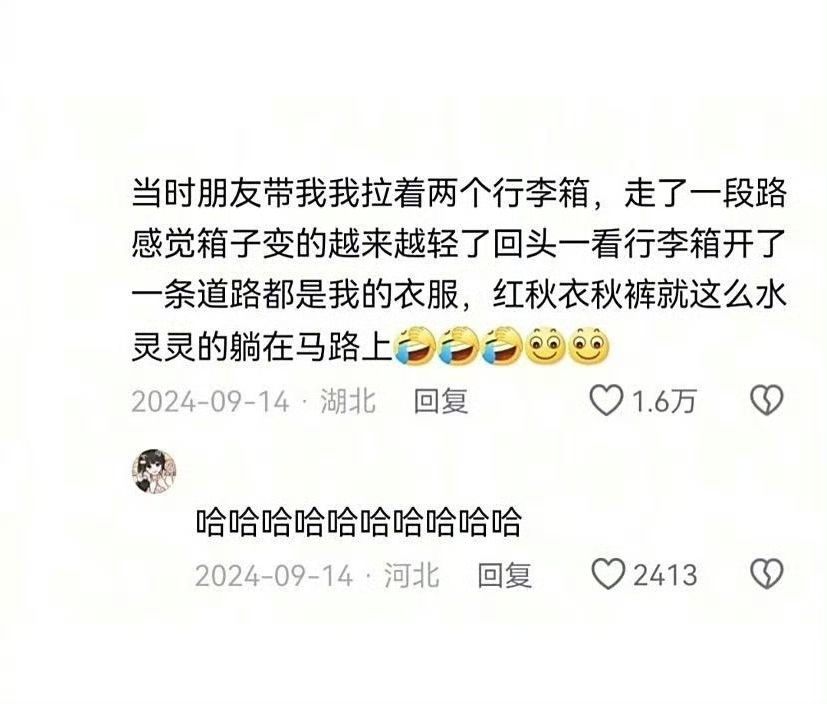 回头一看，行李箱开了