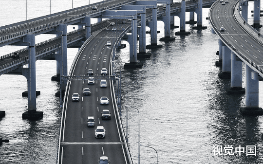 未婚妻和竹马逃婚后，我答应了老师参加三年隔世计划