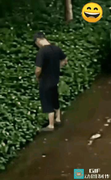 左手一只鸡，右手一声呀，
仔细一看   ： 握草……